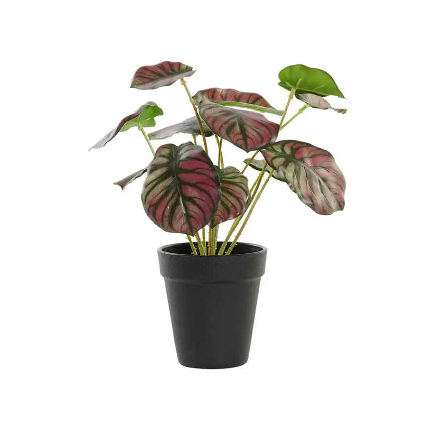 Decorative Plant DKD Home Decor Pink Green PE (10 x 10 x 27 cm)