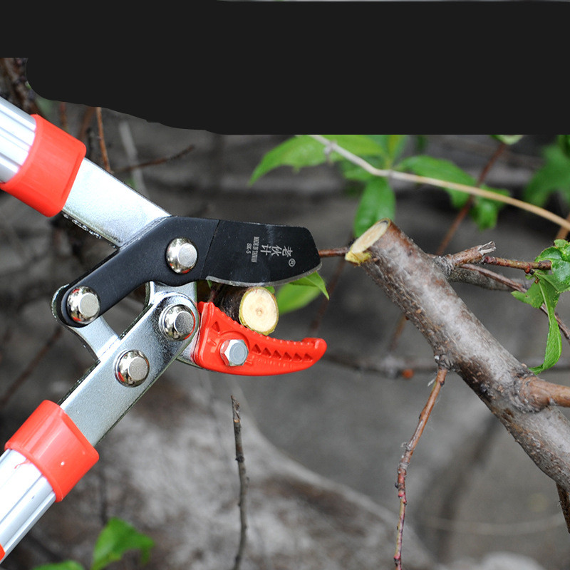 Small Scissors With Aluminum Handle Garden Pruning Garden Tools Red